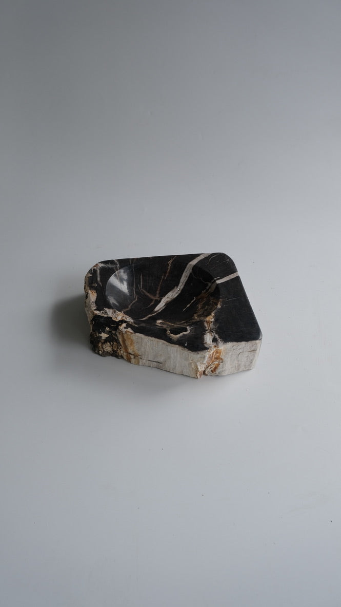 Accessory Tray #196