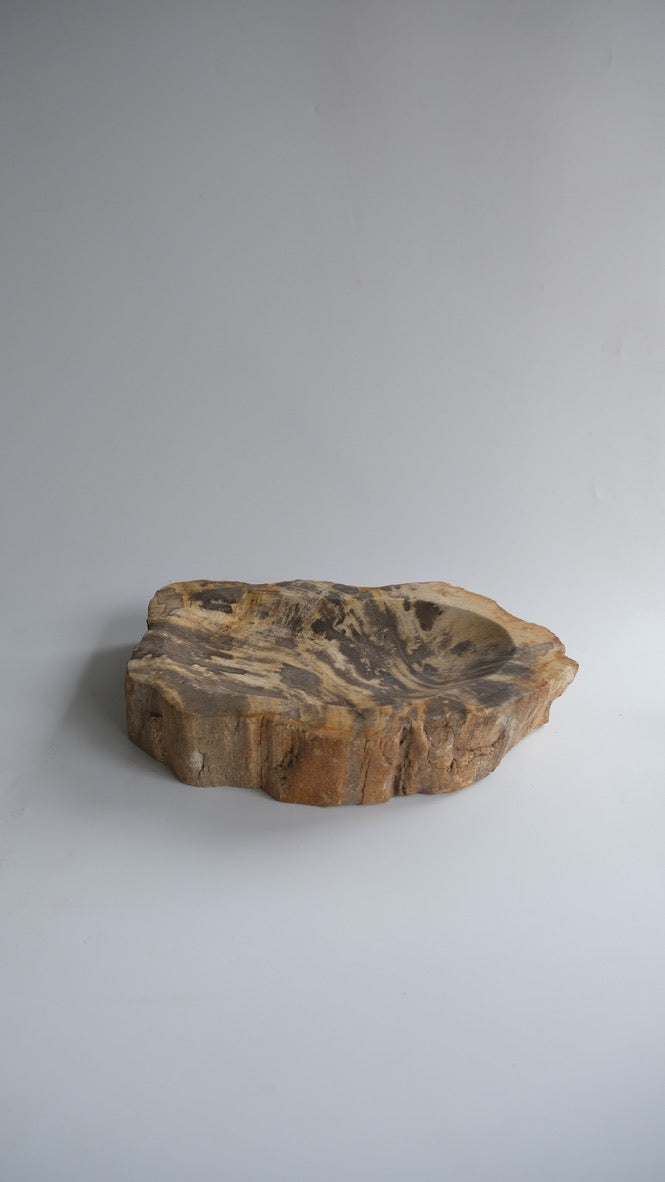 Accessory Tray #173