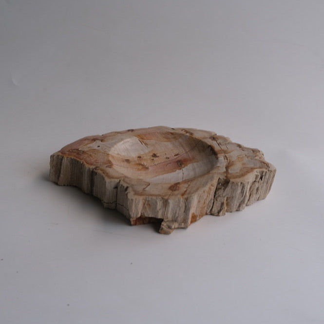 Accessory Tray #030