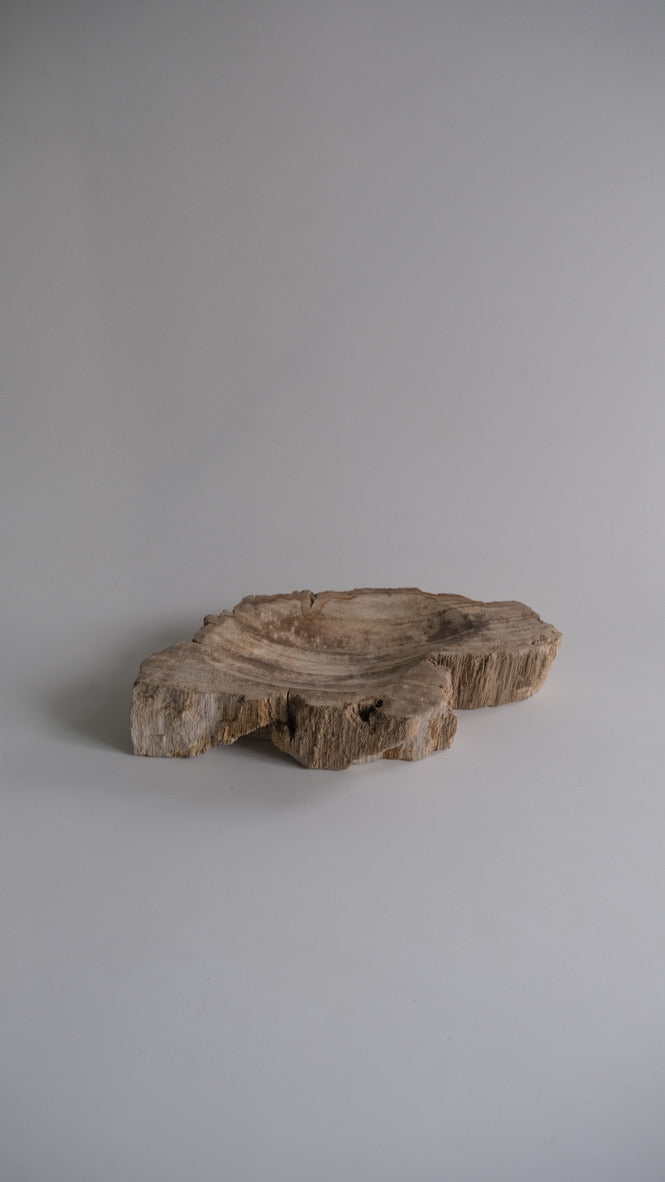 Accessory Tray #146