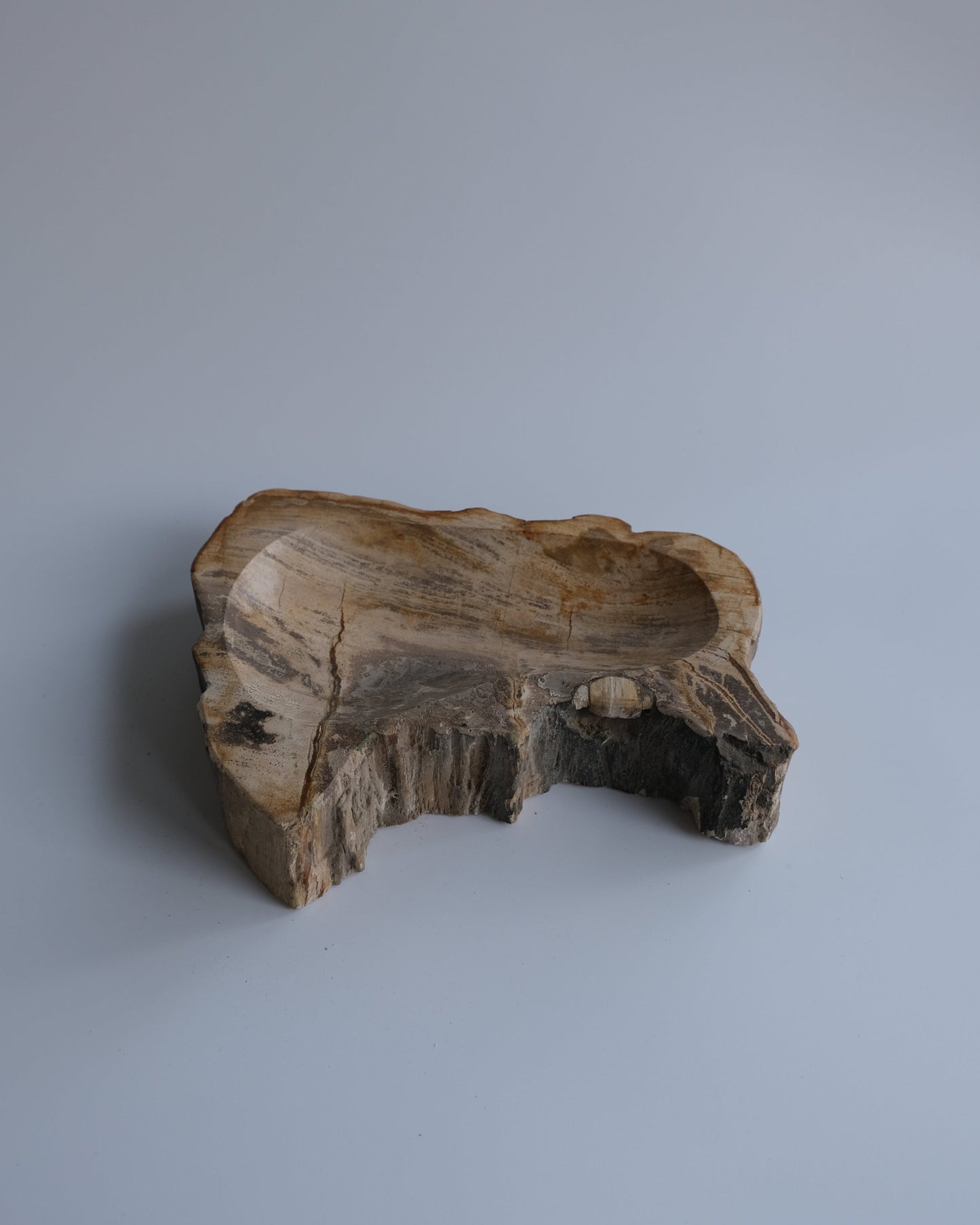 Accessory Tray #237