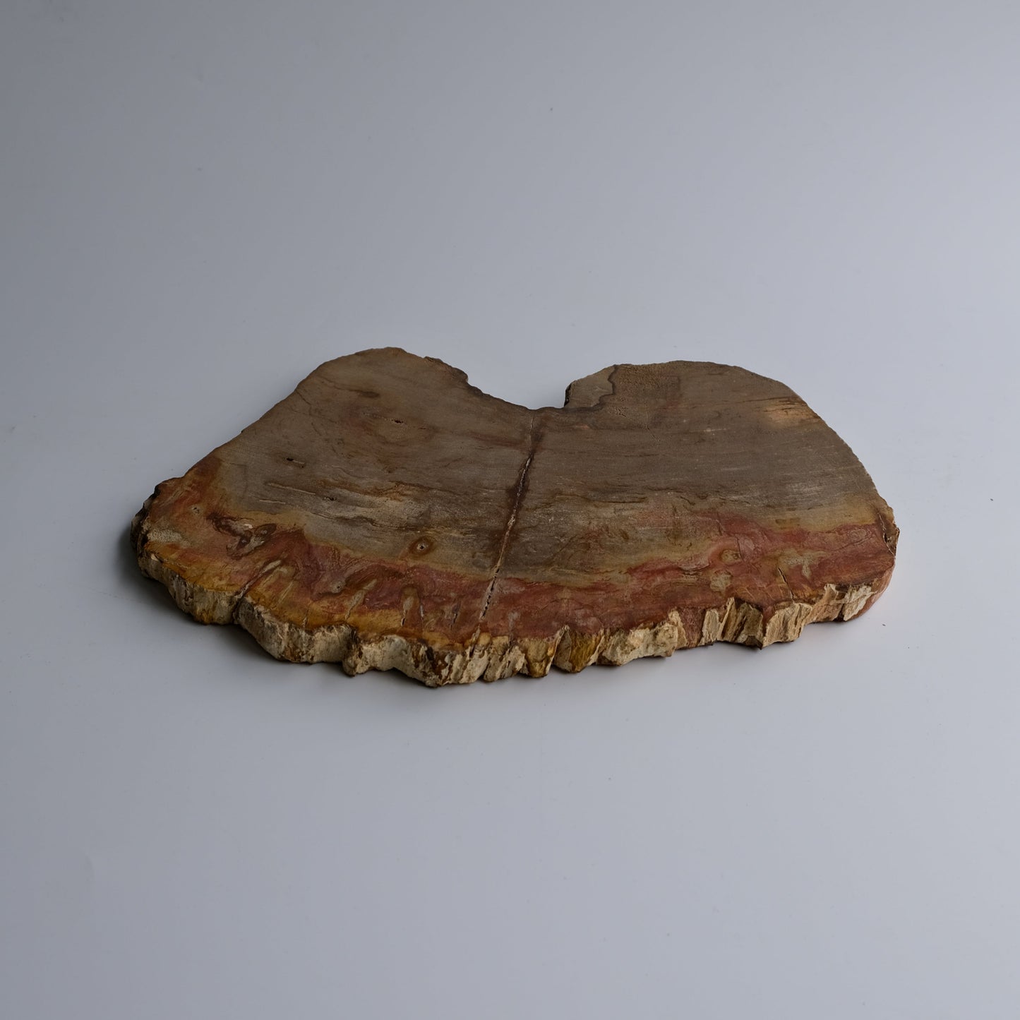 Wood Plate #002