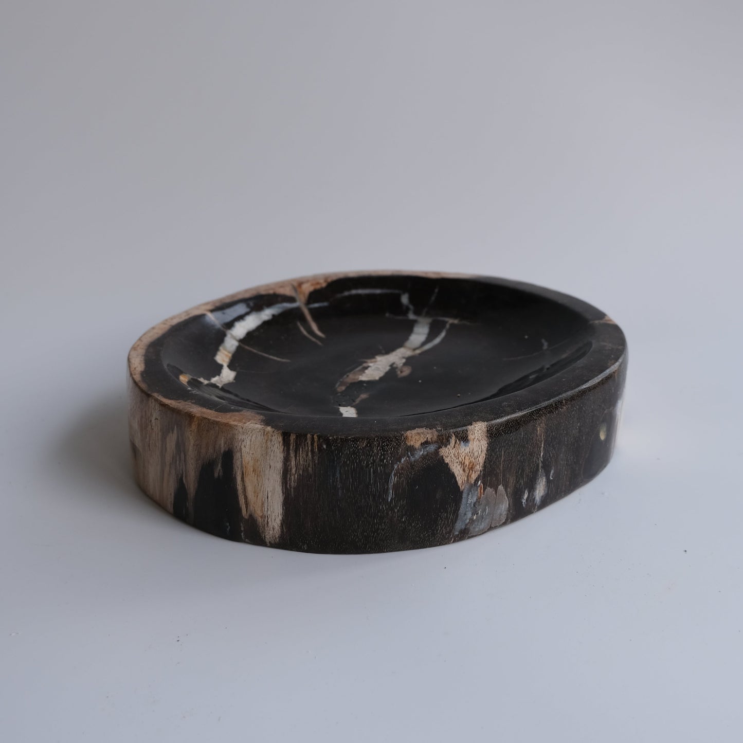 Accessory Tray #230