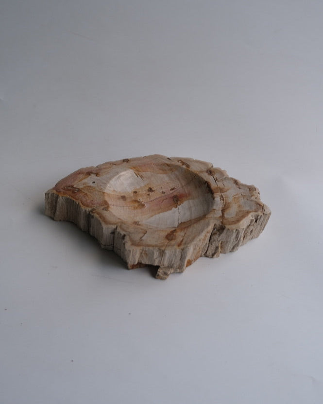 Accessory Tray #030