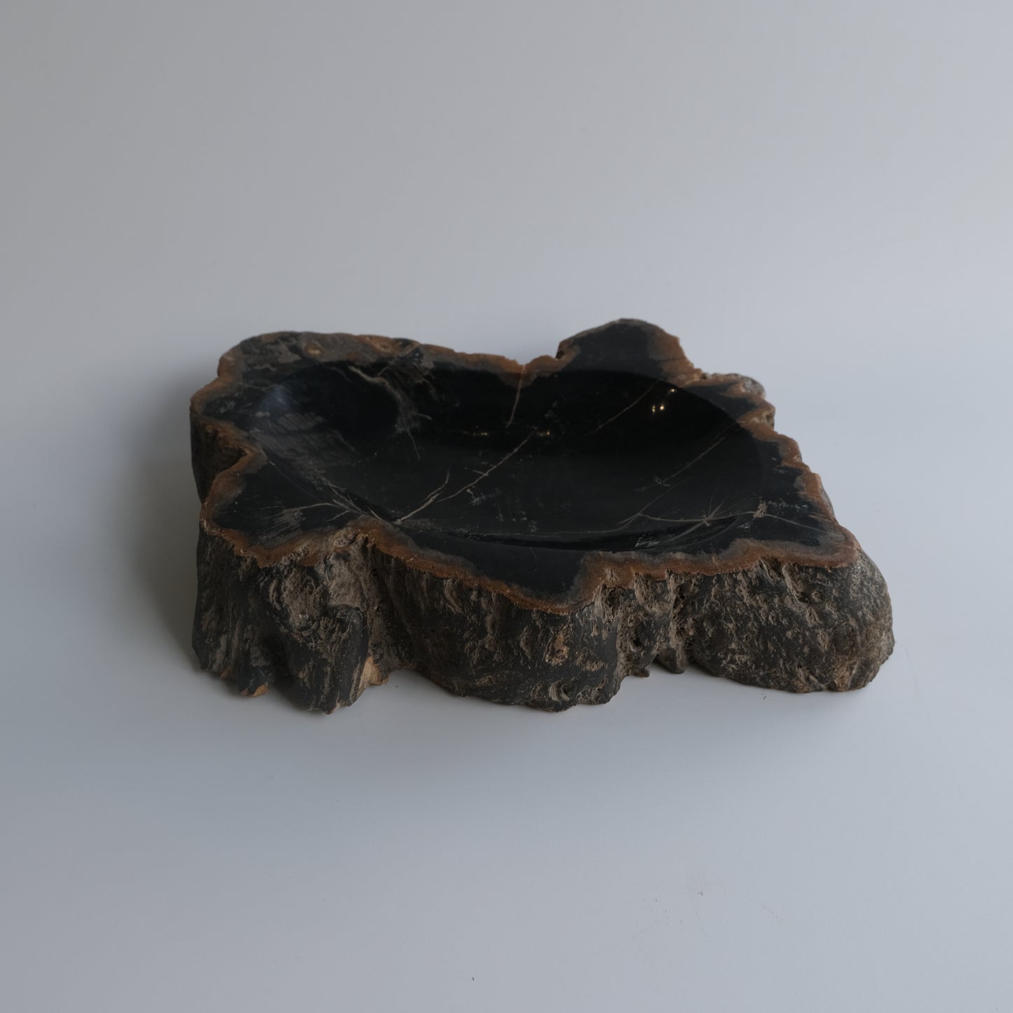 Accessory Tray #203