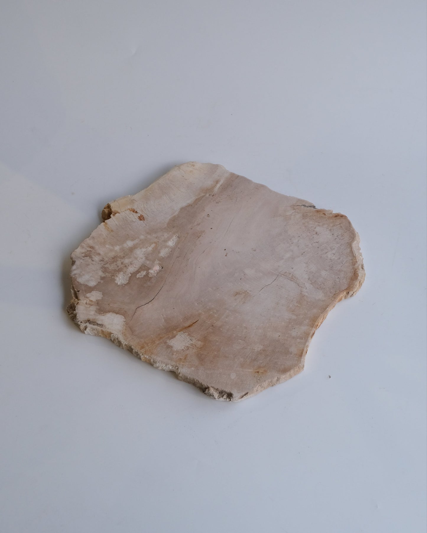 Wood Plate #015