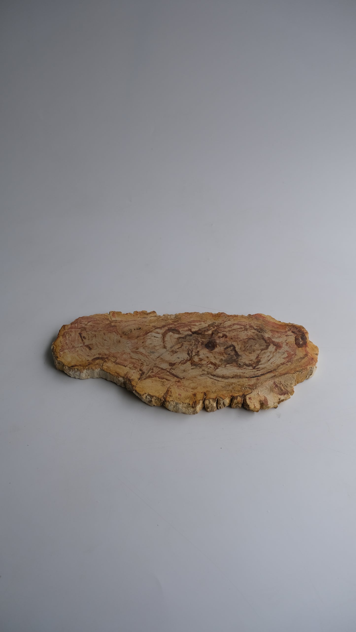 Wood Plate Medium #012
