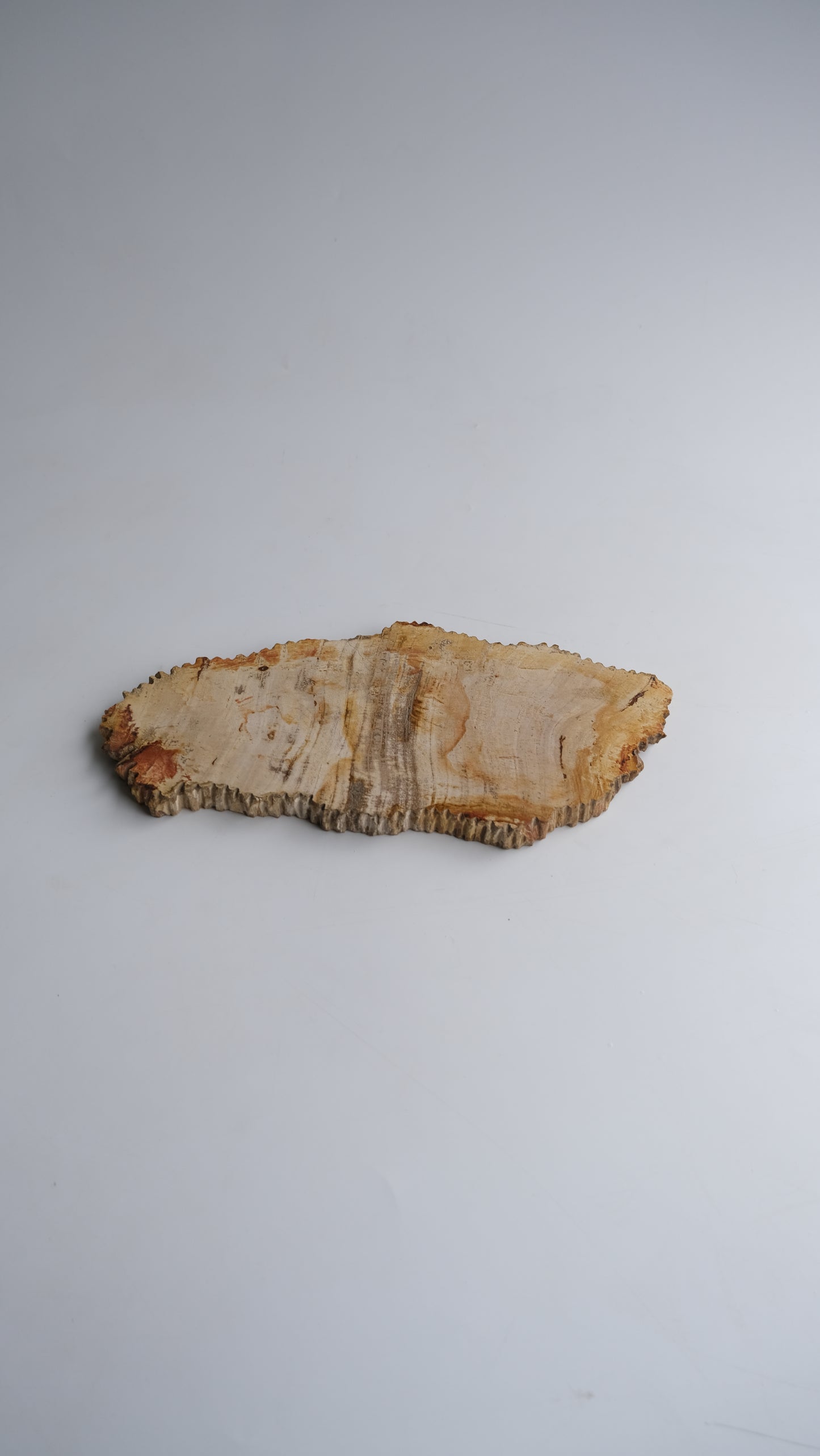 Wood Plate Medium #011