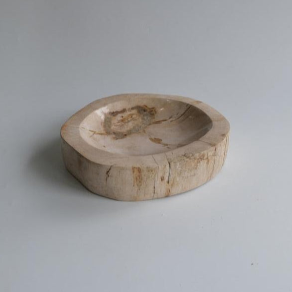 Accessory Tray #205