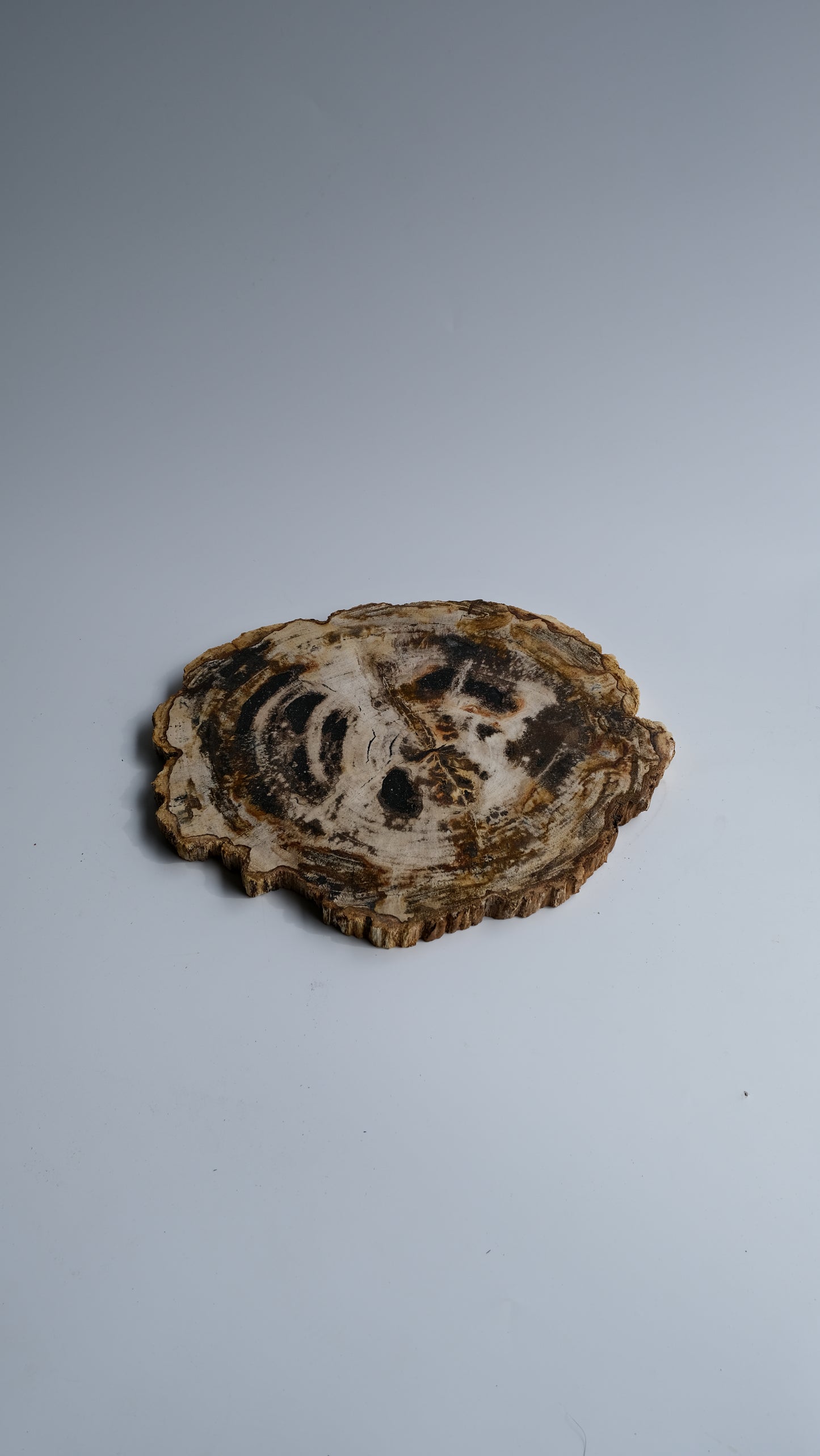 Wood Plate #012