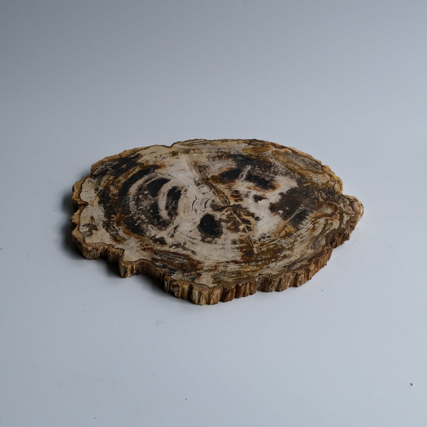 Wood Plate #012