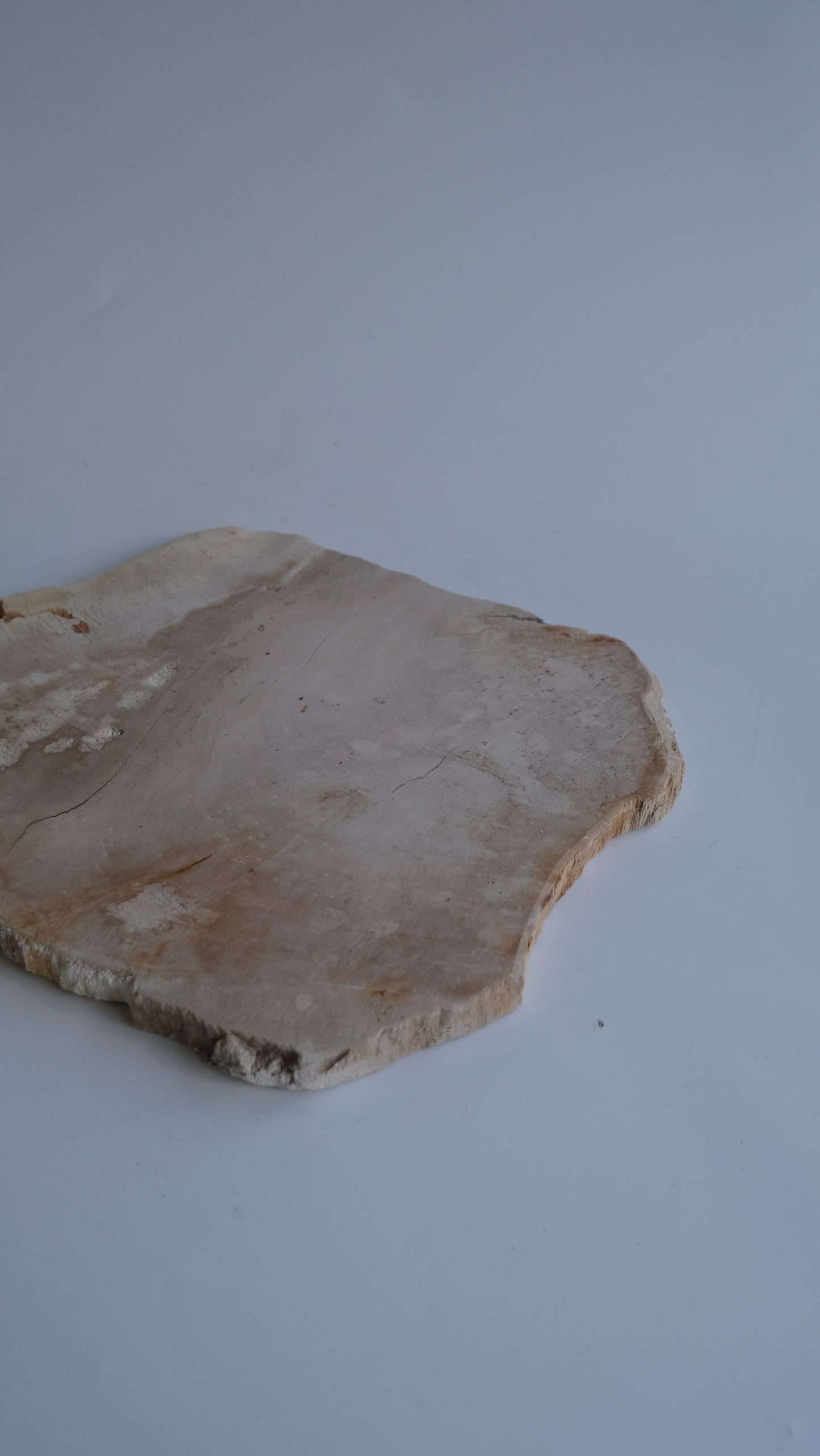 Wood Plate #015
