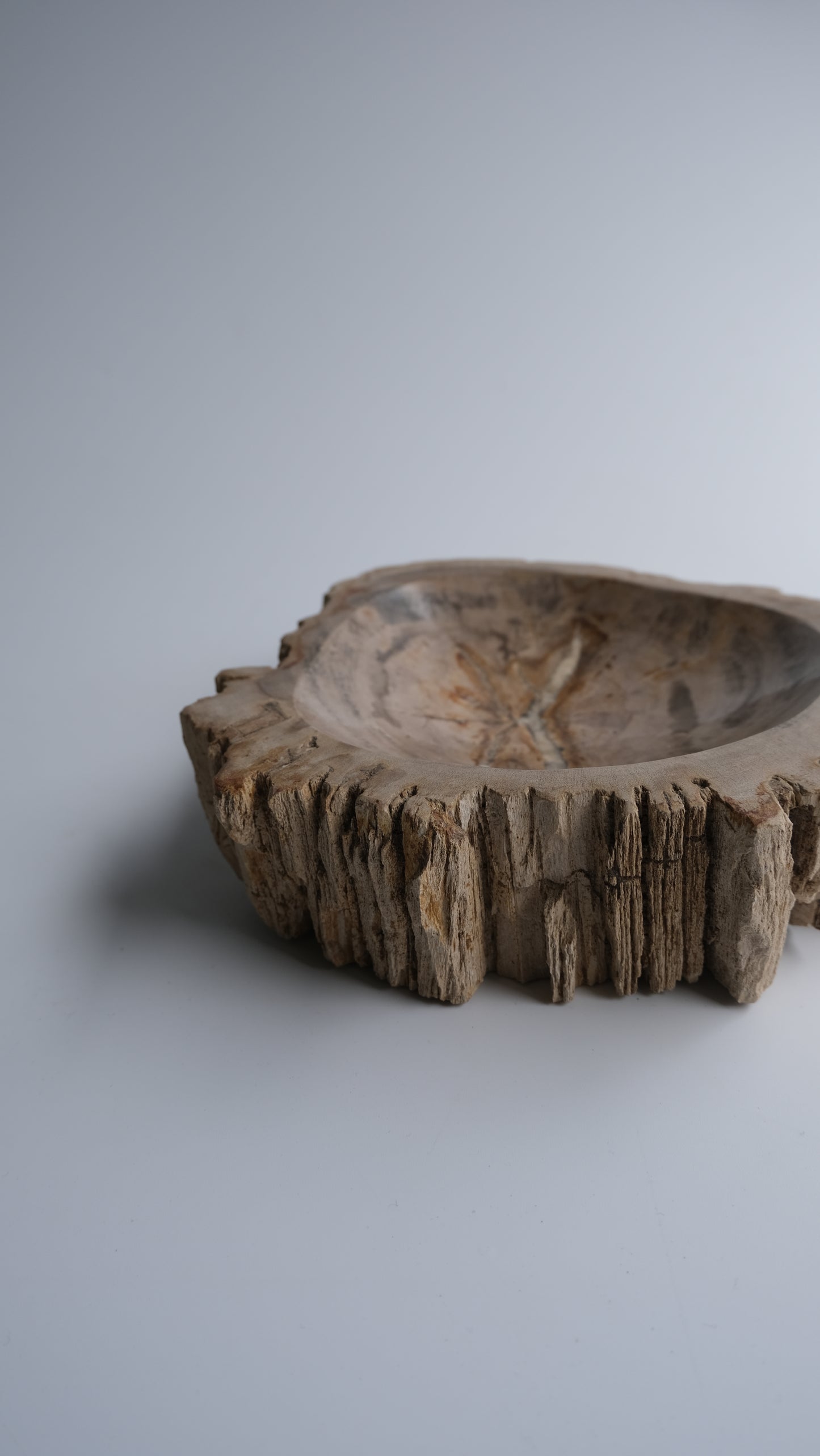 Accessory Tray #135