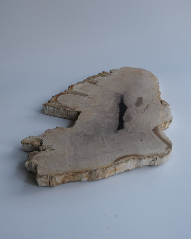 Wood Plate #001