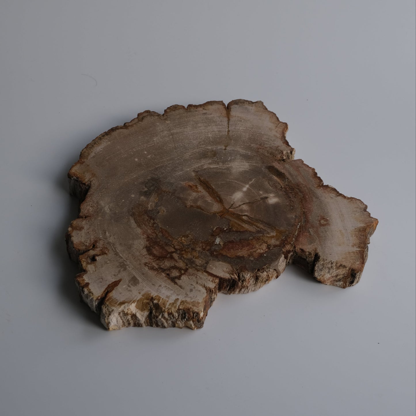 Wood Plate #011