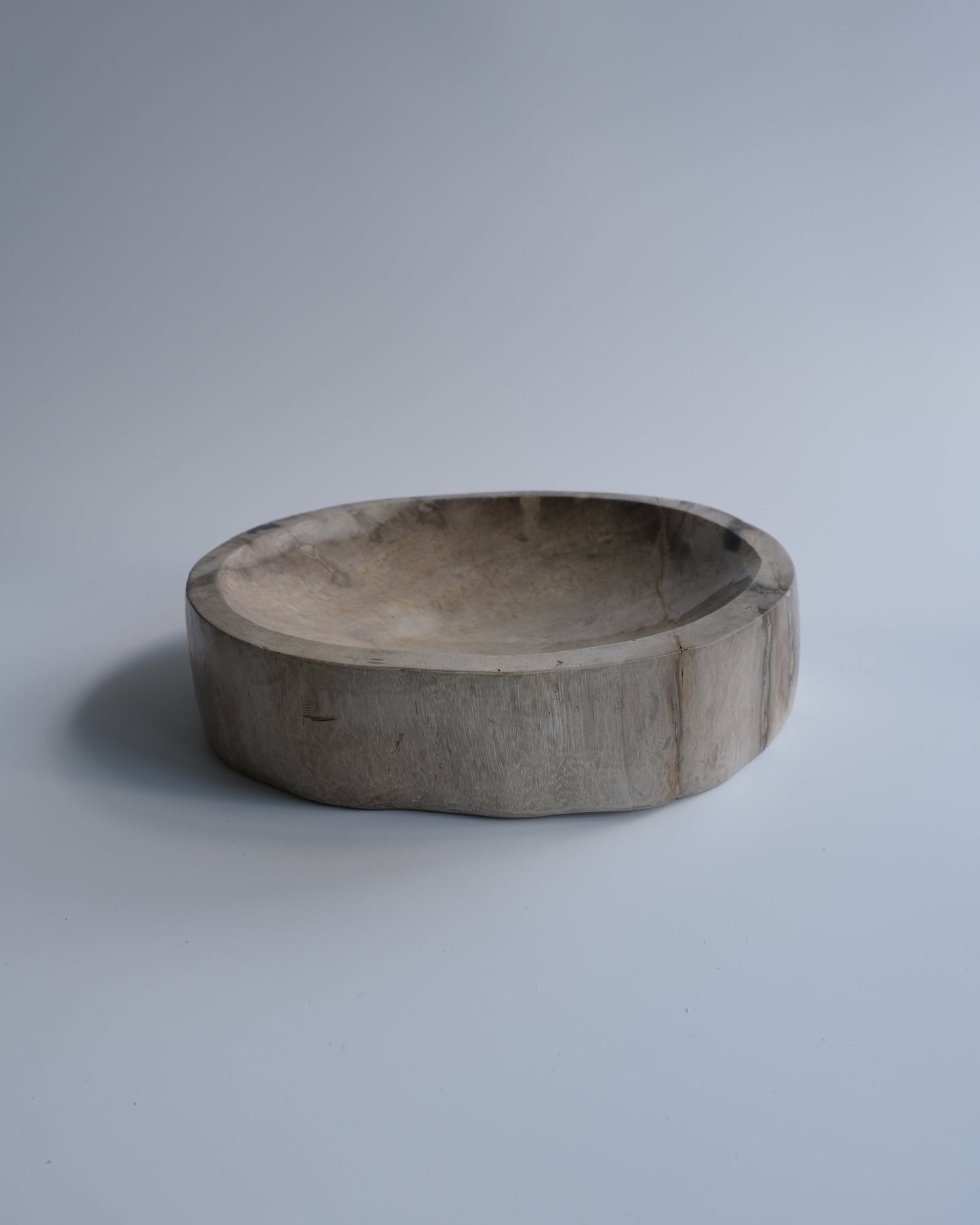 Accessory Tray #228