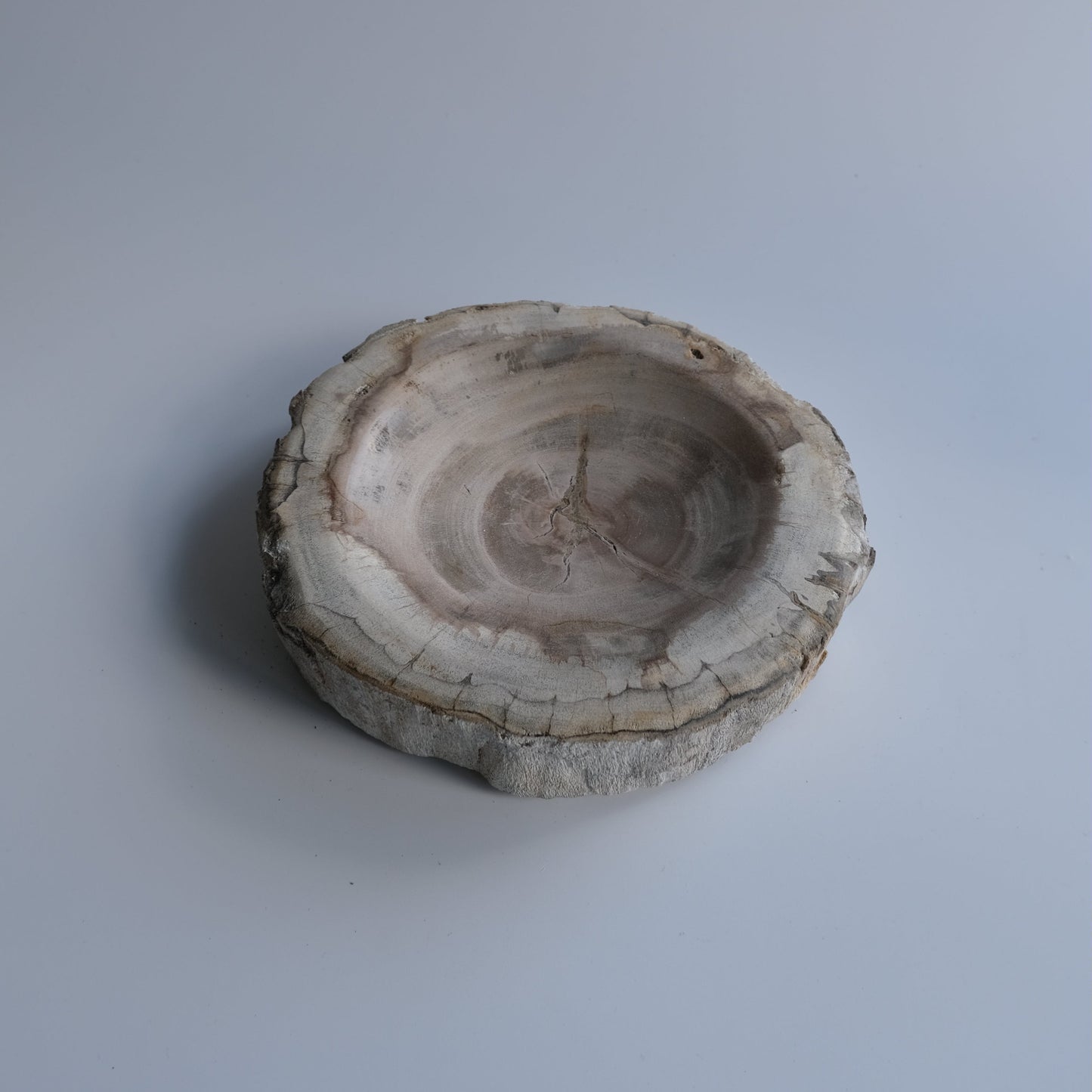 Accessory Tray #226