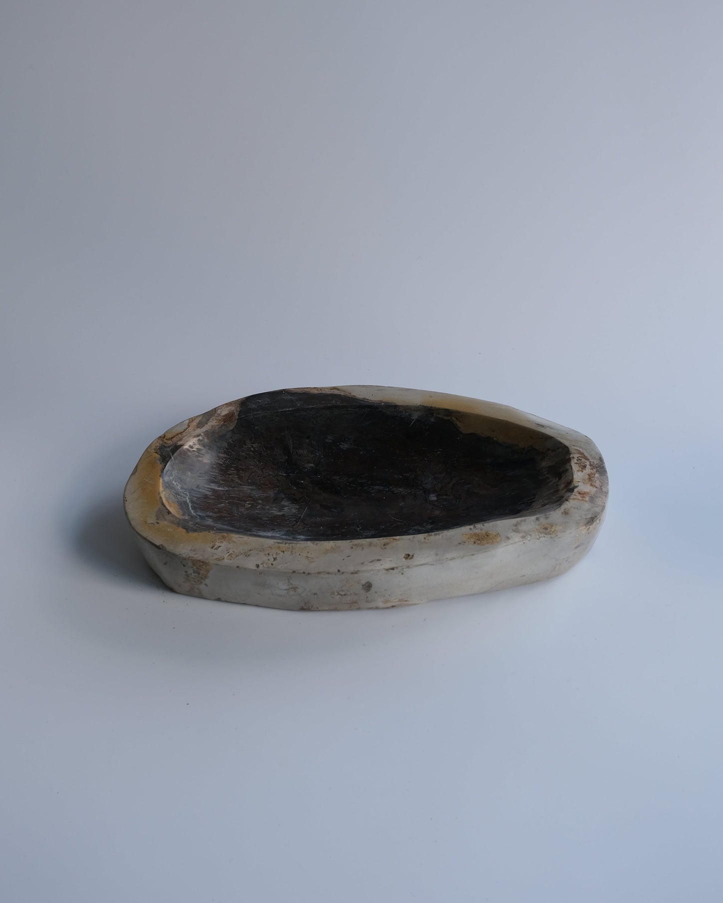 Accessory Tray #227
