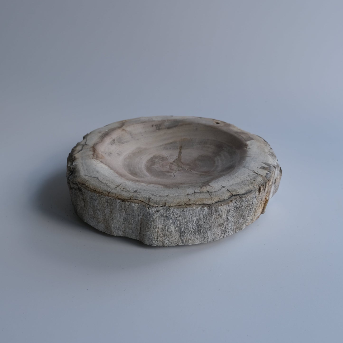 Accessory Tray #226