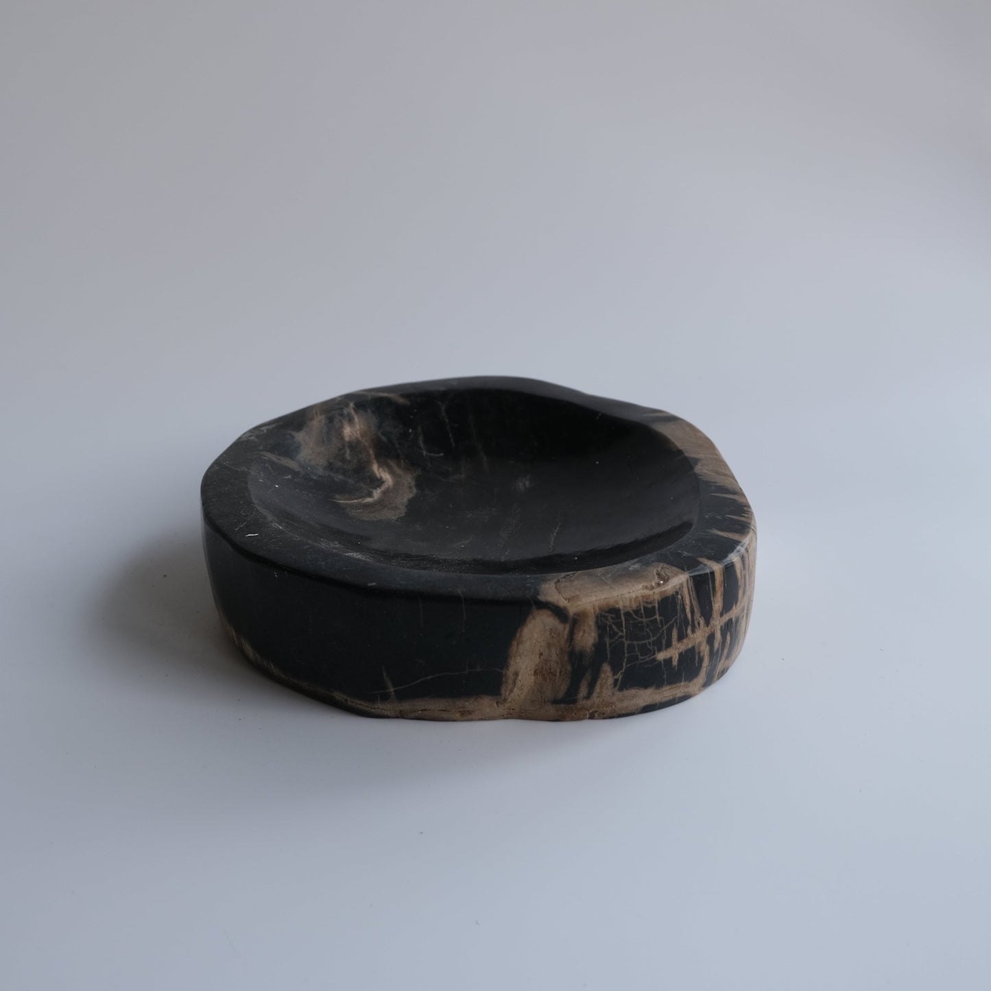 Accessory Tray #241