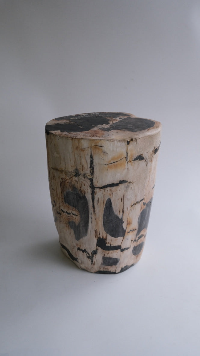Stool #029