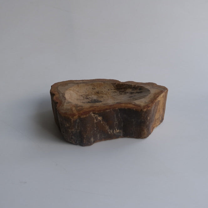 Accessory Tray #008