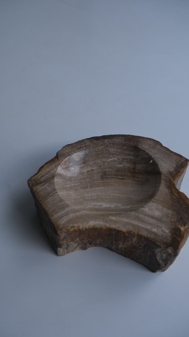 Accessory Tray #021