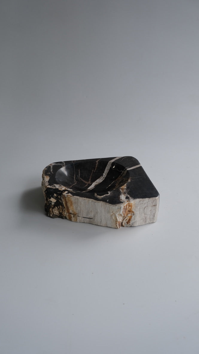 Accessory Tray #196