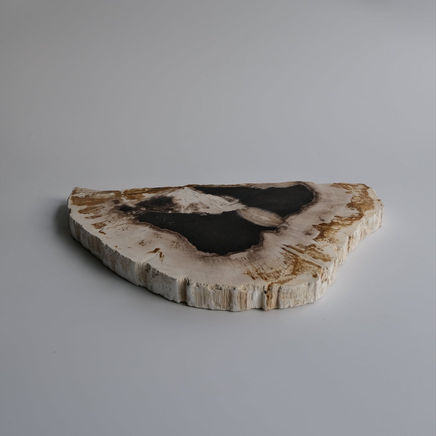 Wood Plate #004