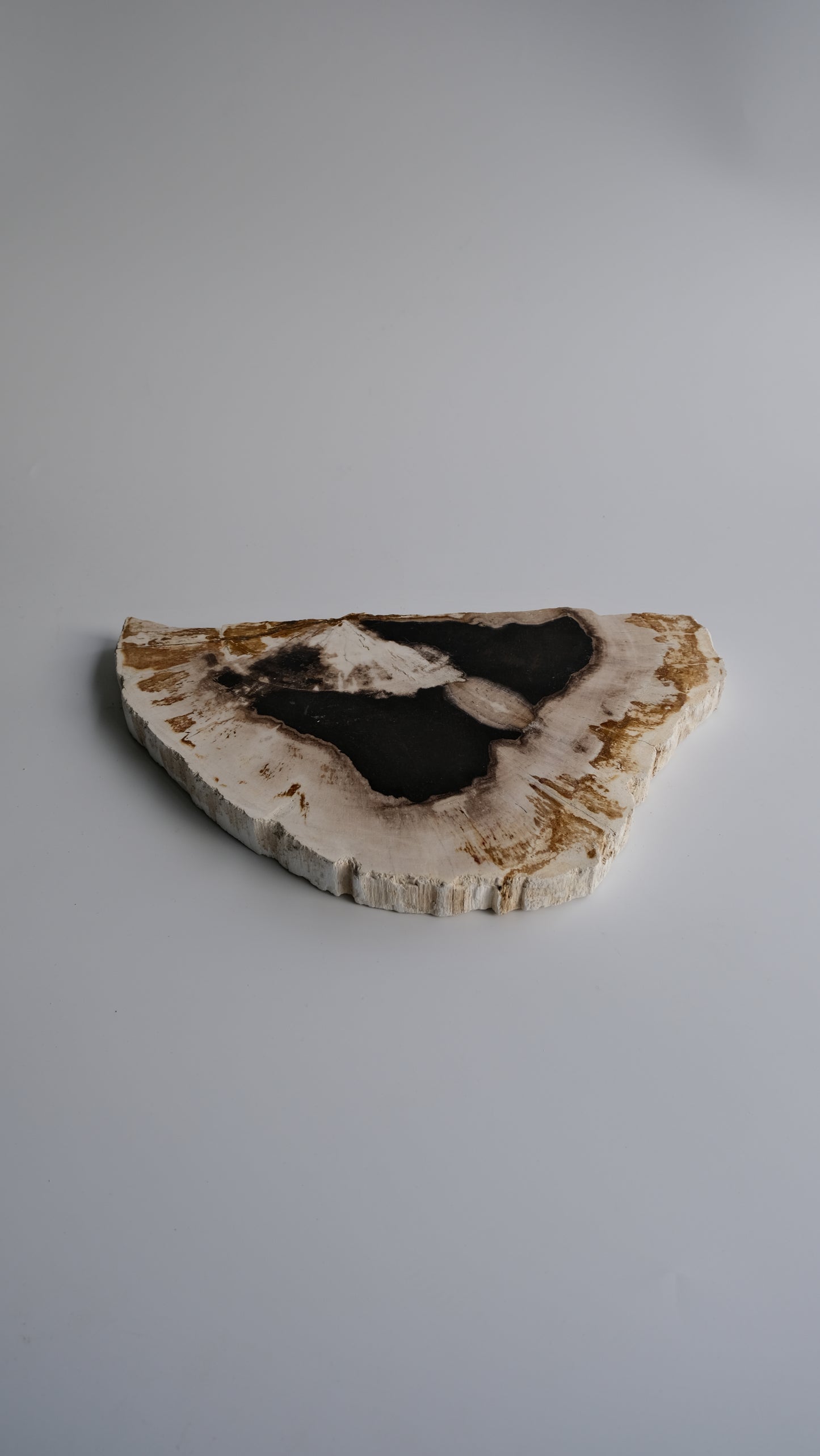 Wood Plate #004