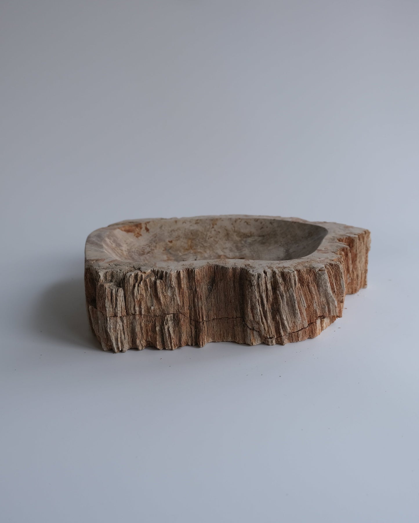 Accessory Tray #233