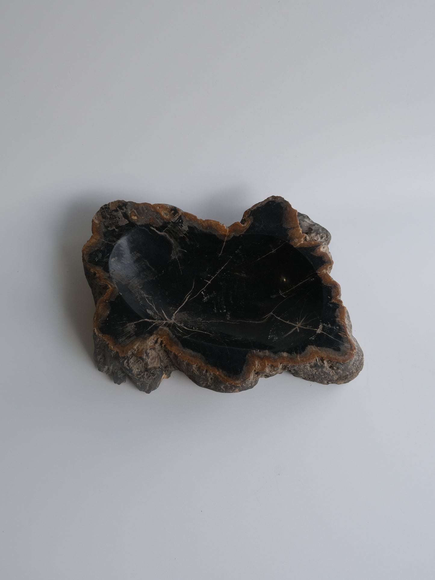 Accessory Tray #203