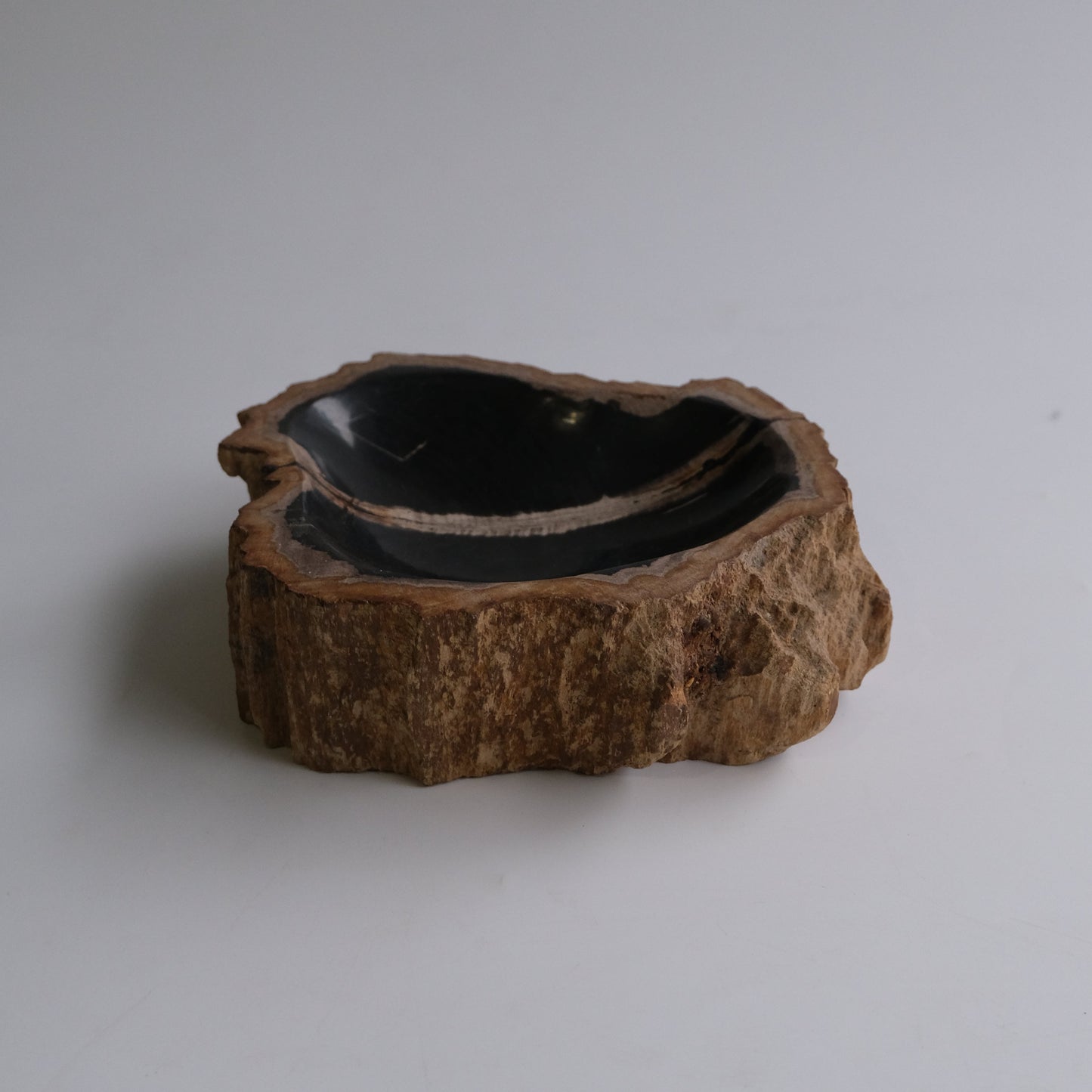 Accessory Tray #167