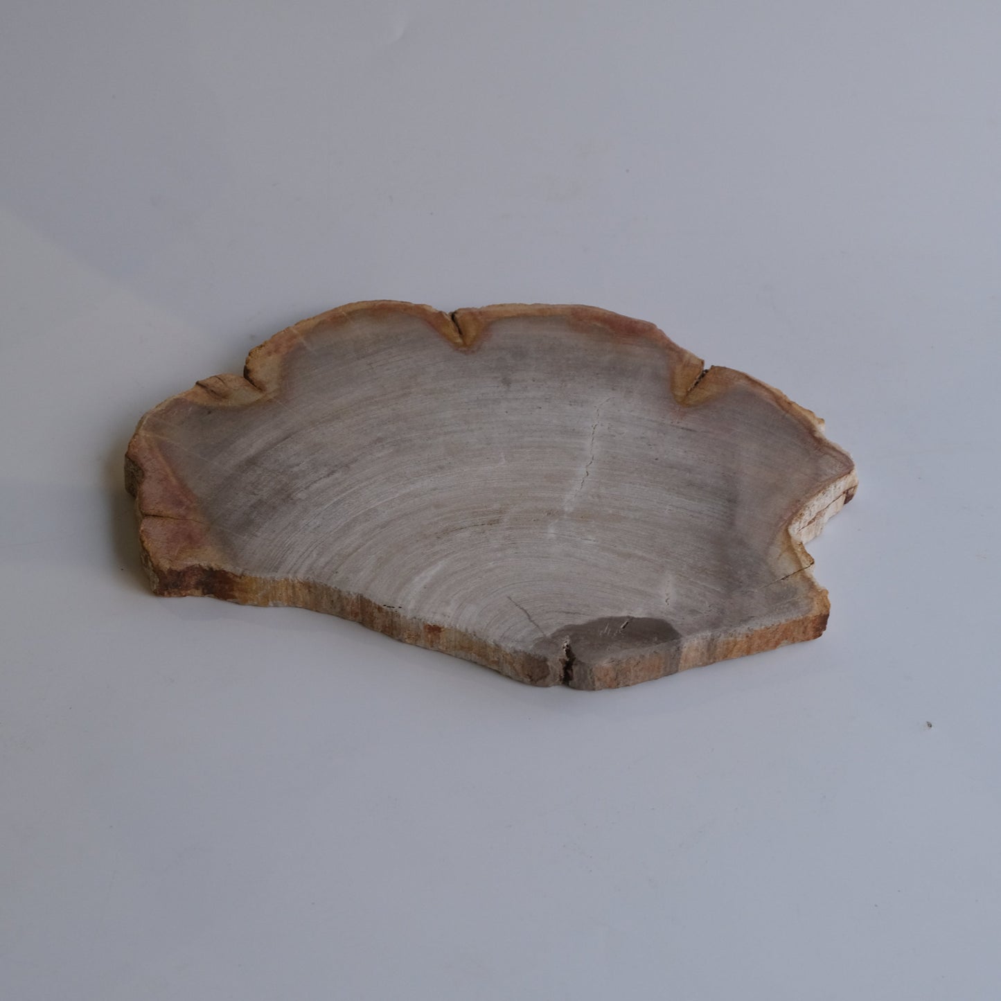 Wood Plate #010