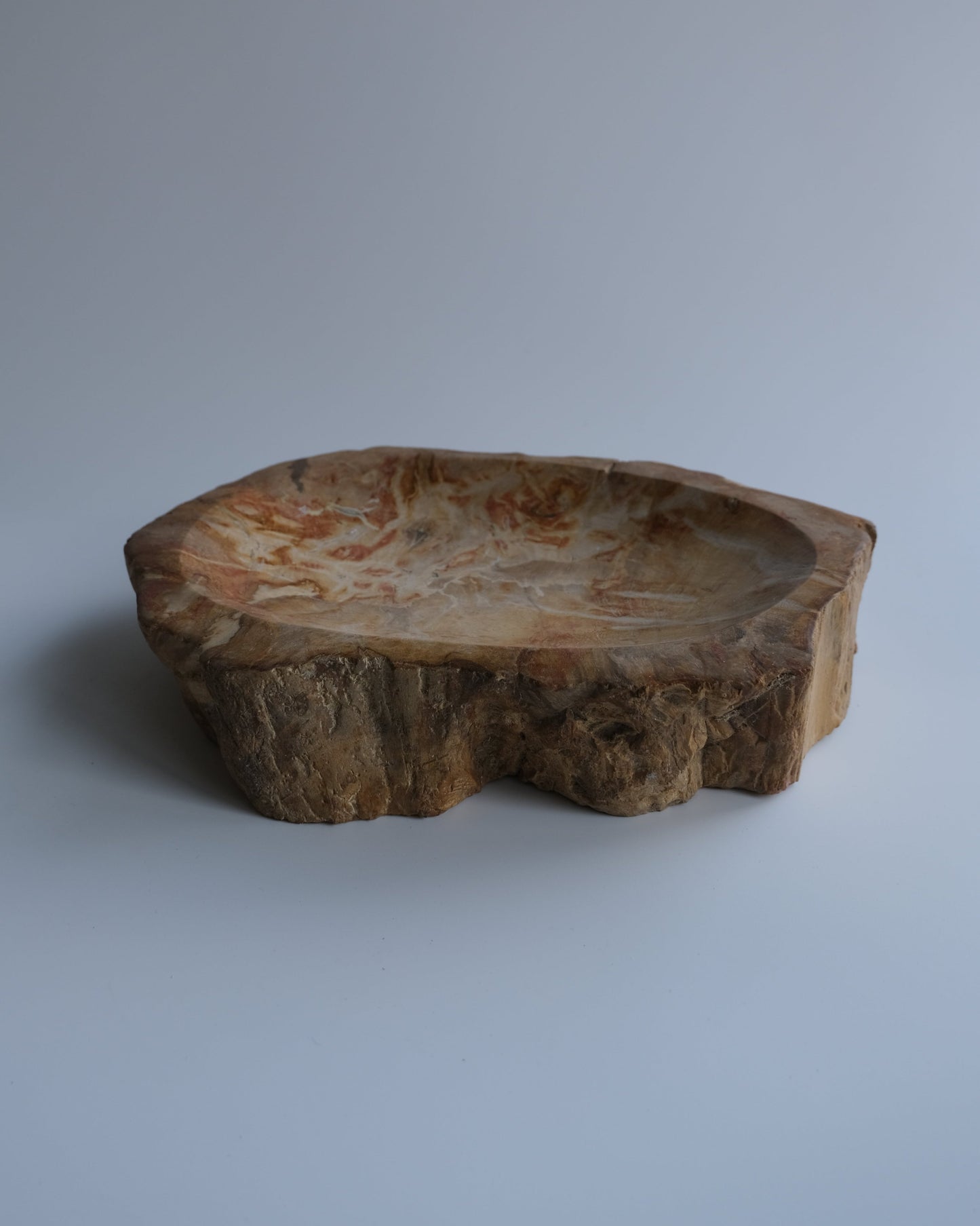 Accessory Tray #239