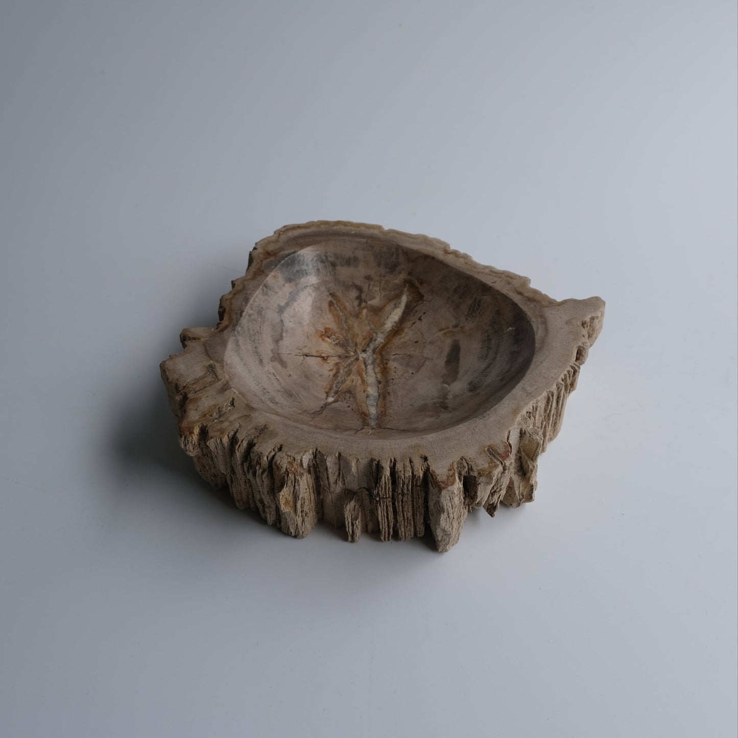 Accessory Tray #135