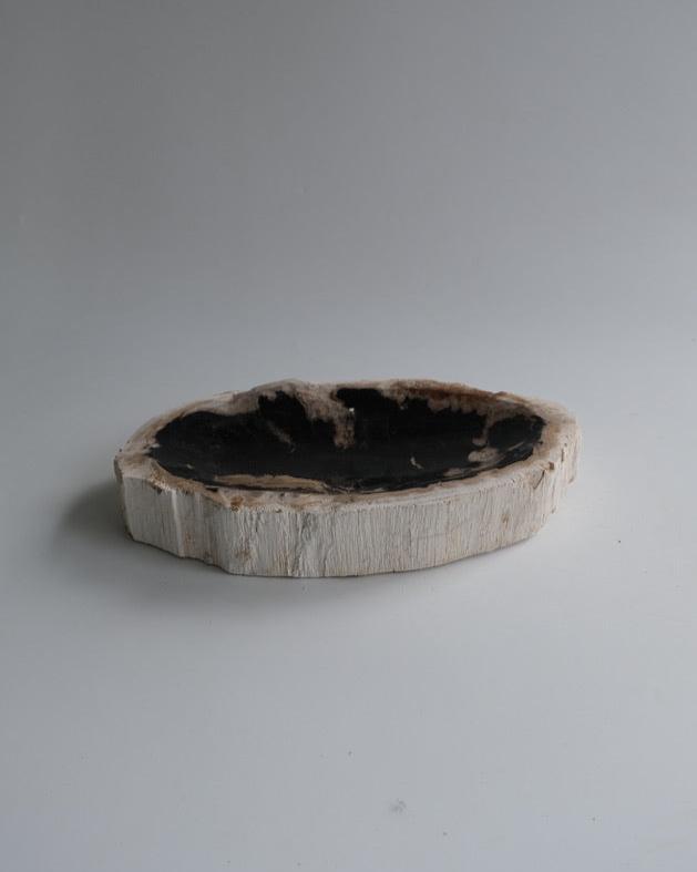 Accessory Tray #197