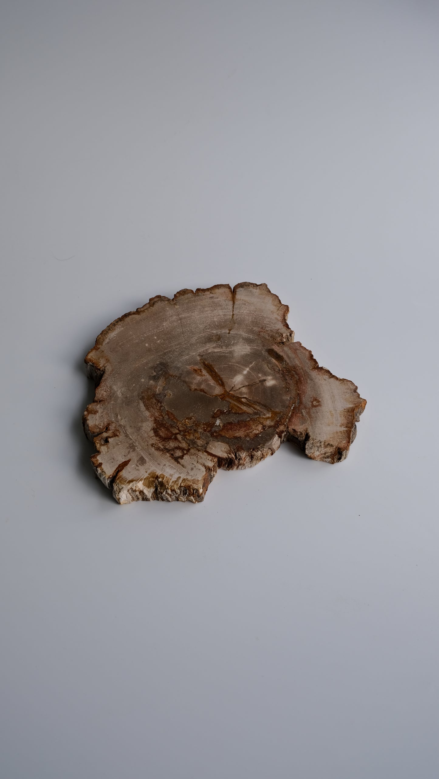 Wood Plate #011