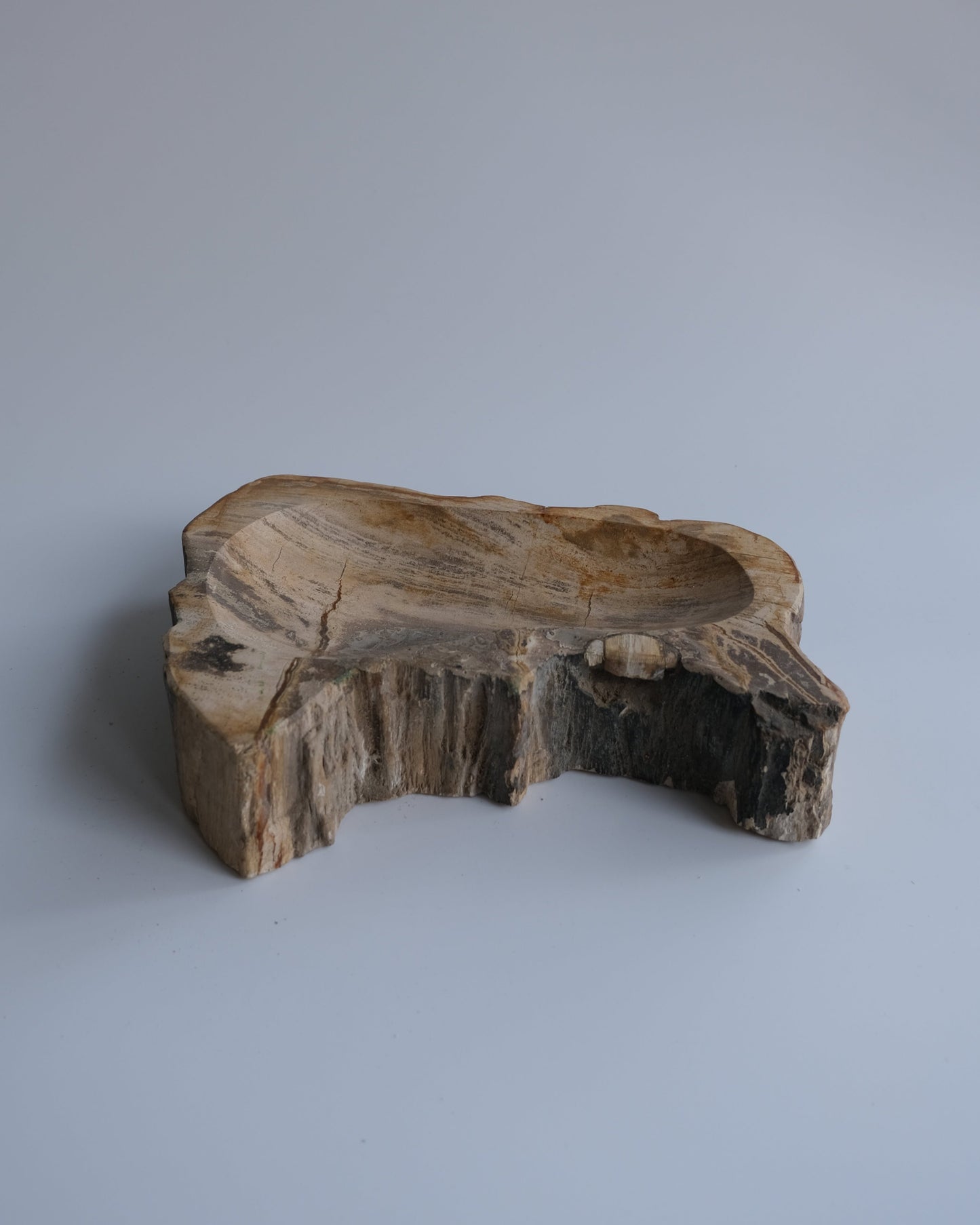 Accessory Tray #237