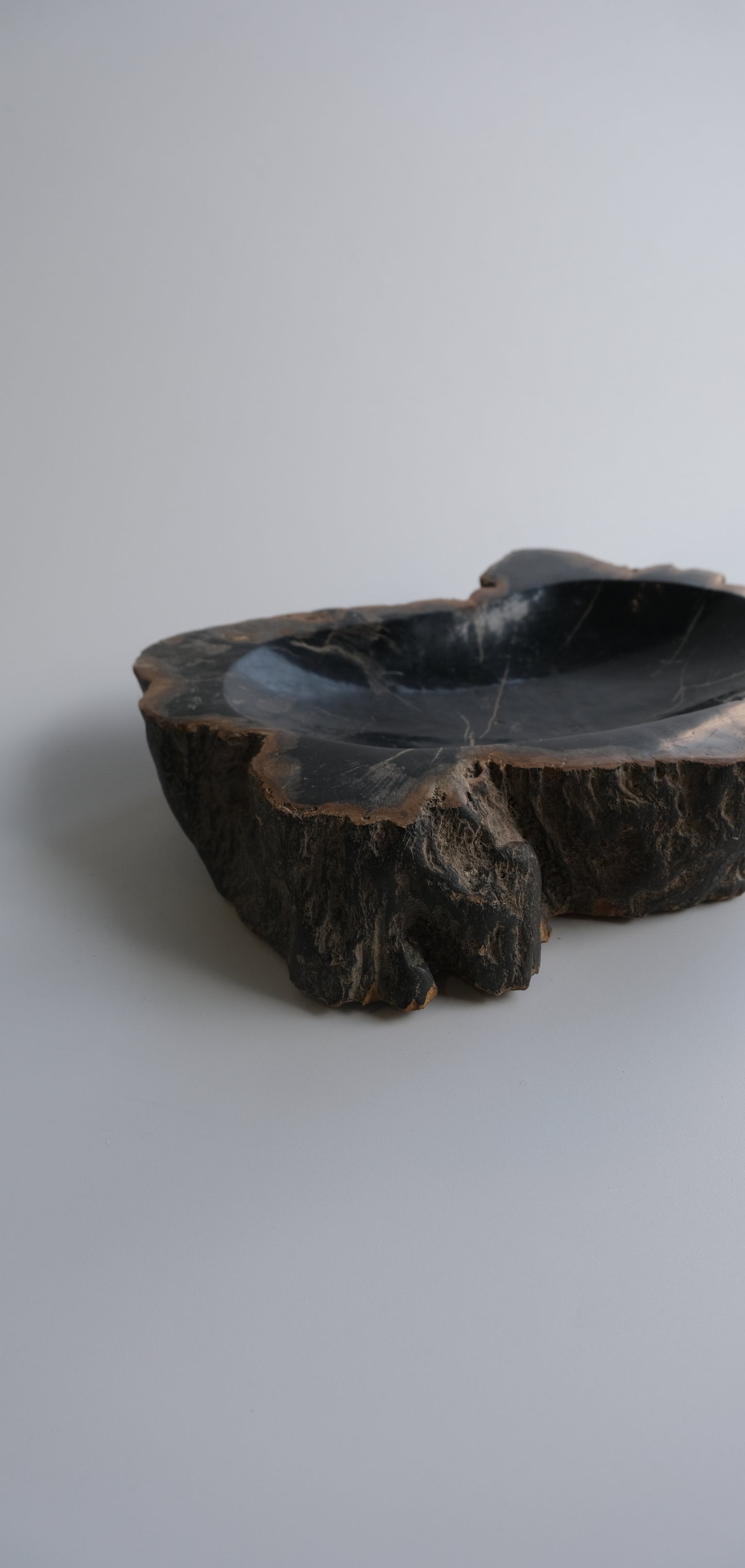 Accessory Tray #203