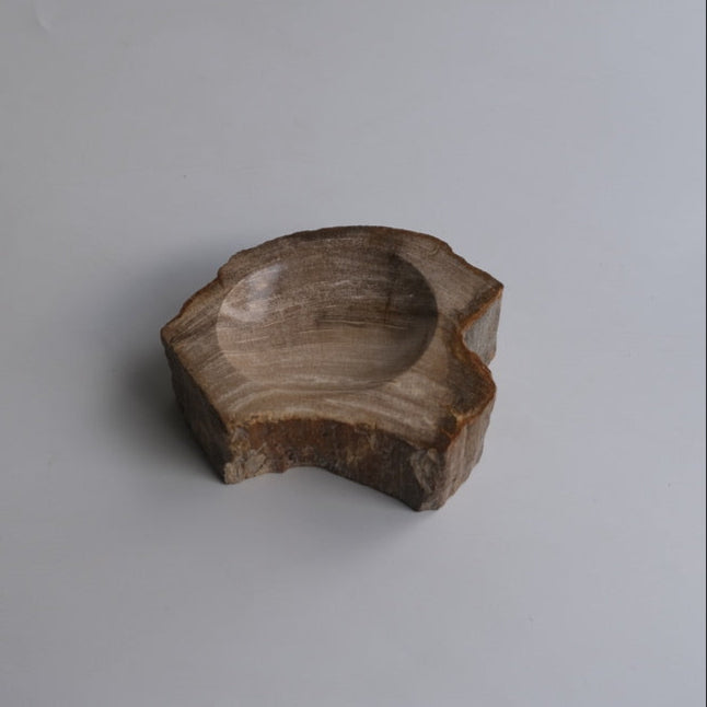 Accessory Tray #021