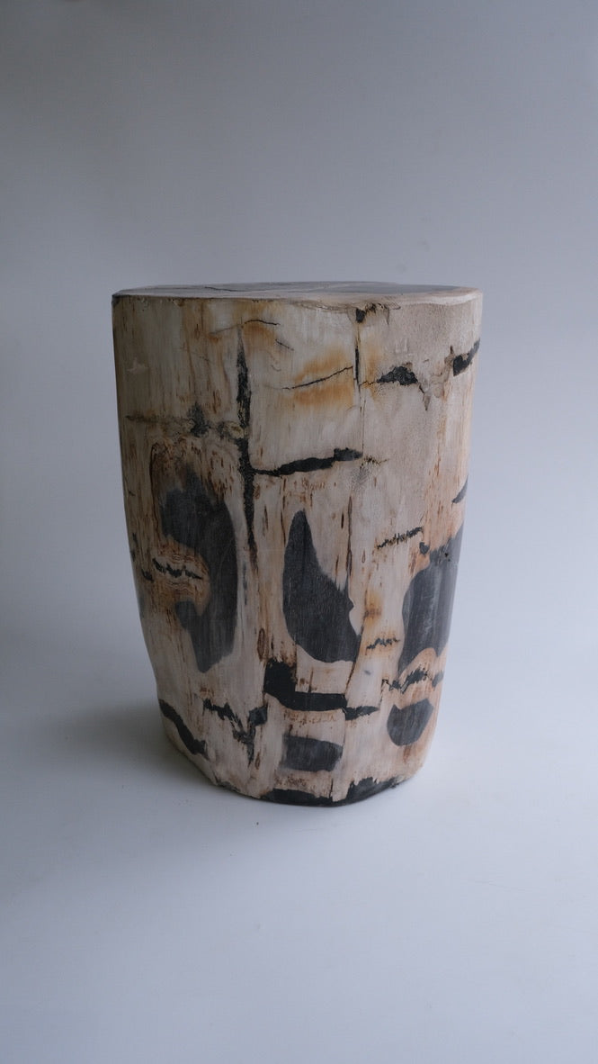 Stool #029