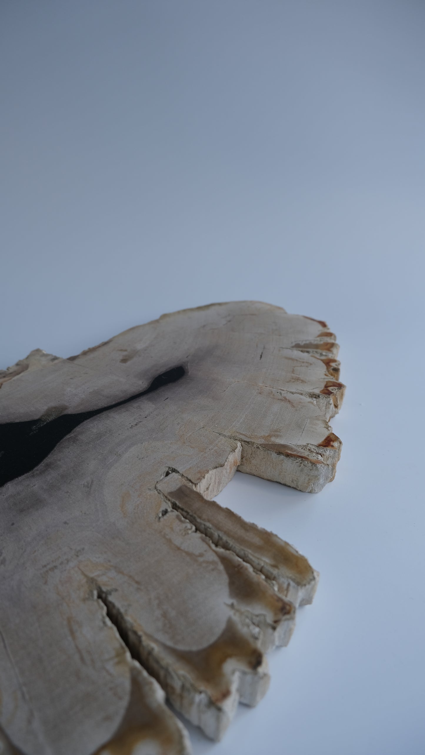 Wood Plate #001