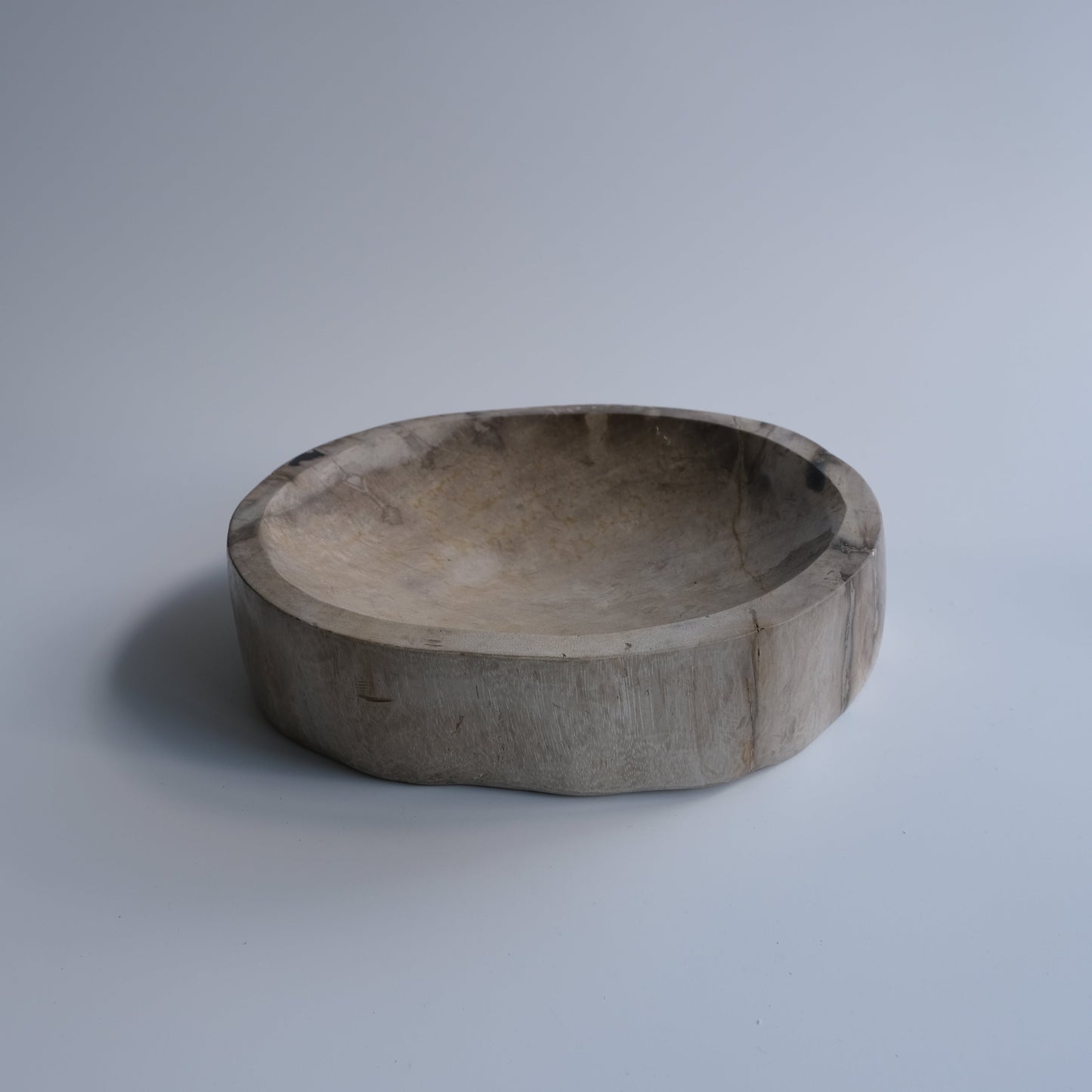 Accessory Tray #228