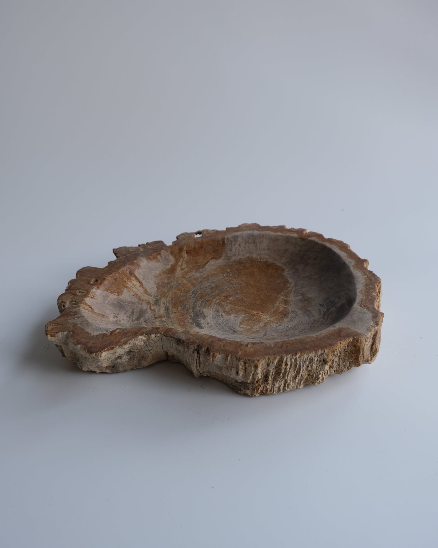 Accessory Tray #231
