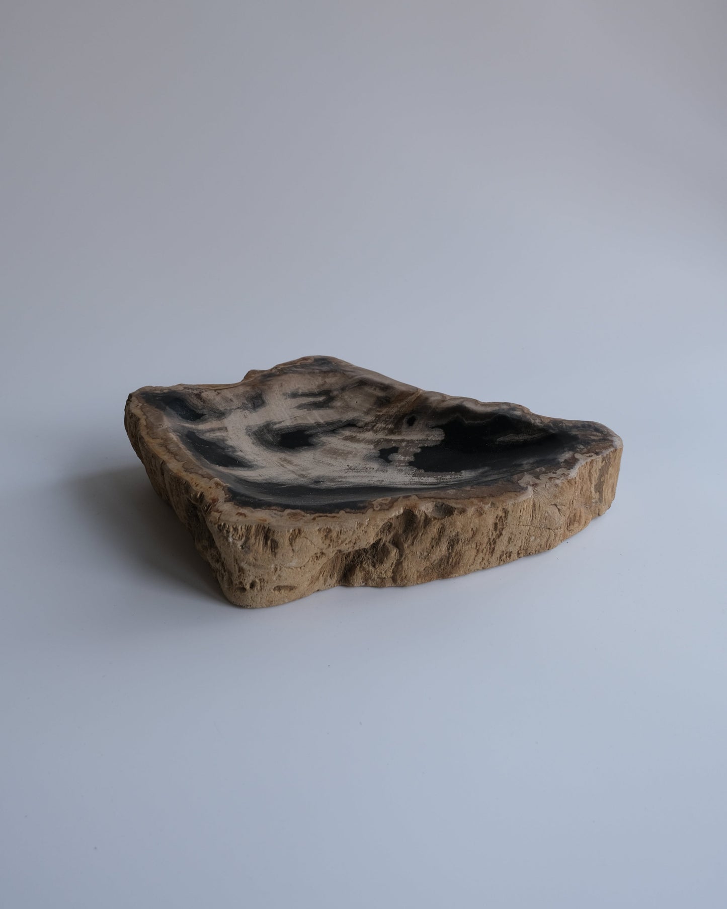 Accessory Tray #236