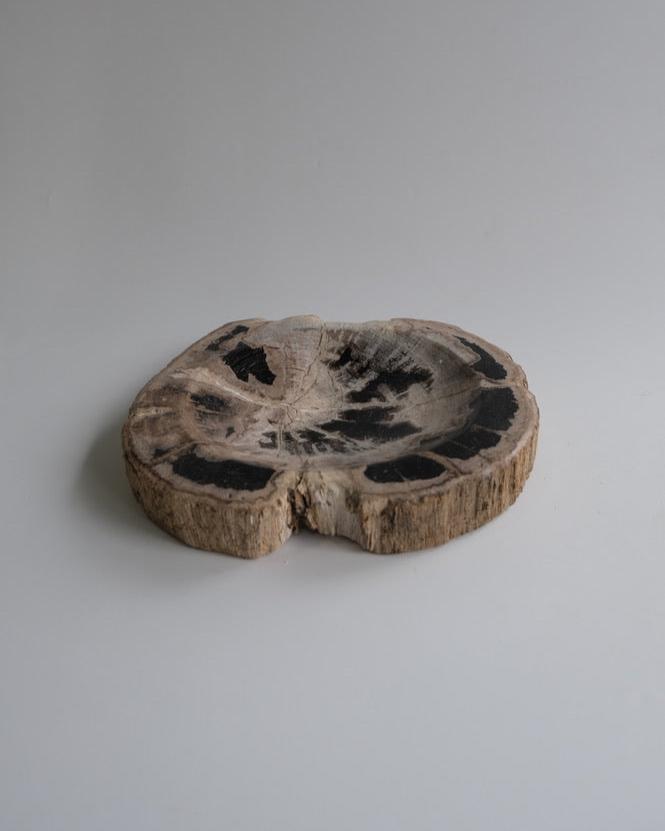 Accessory Tray #216