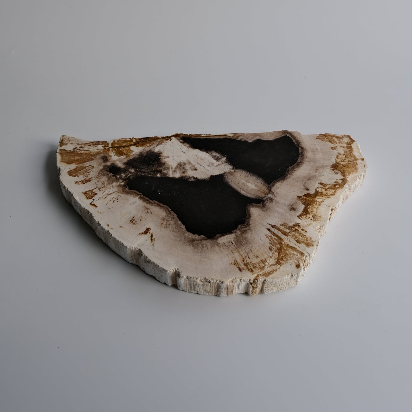 Wood Plate #004