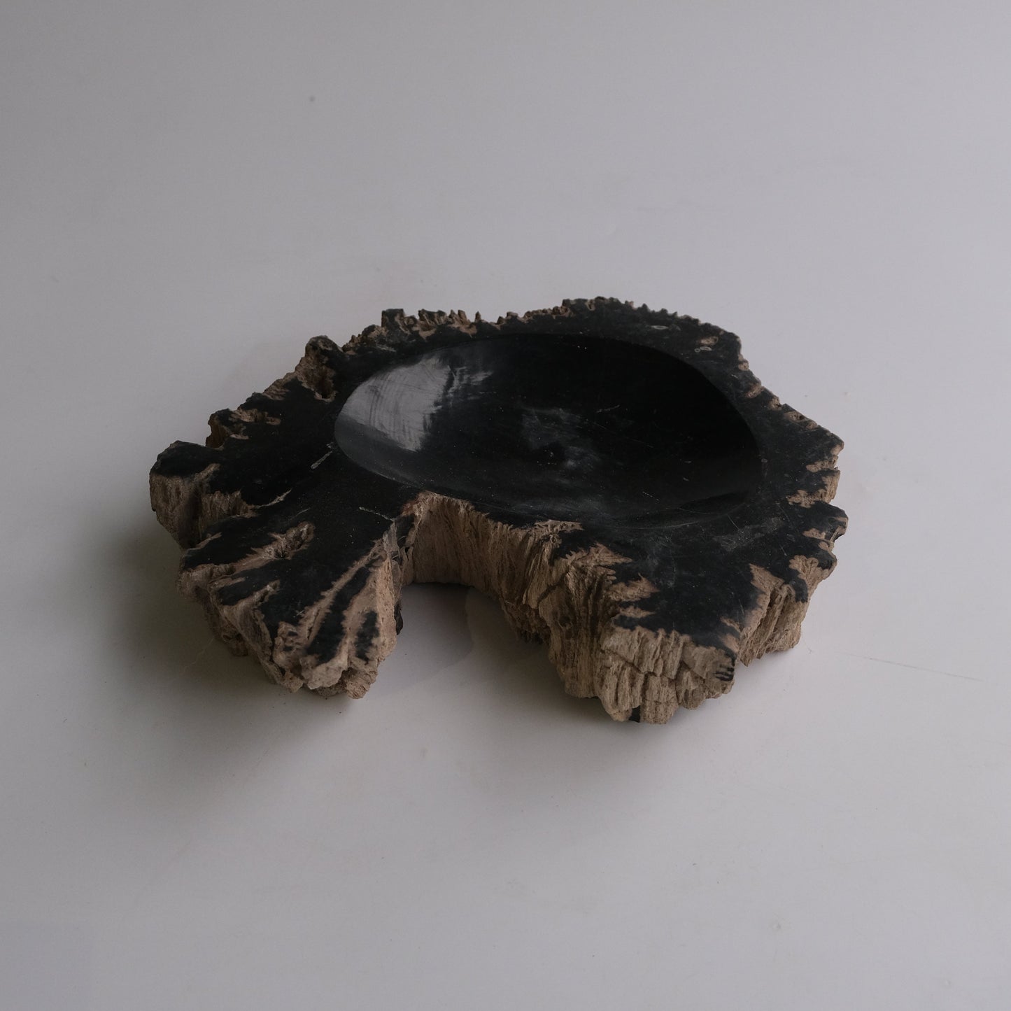 Accessory Tray #117