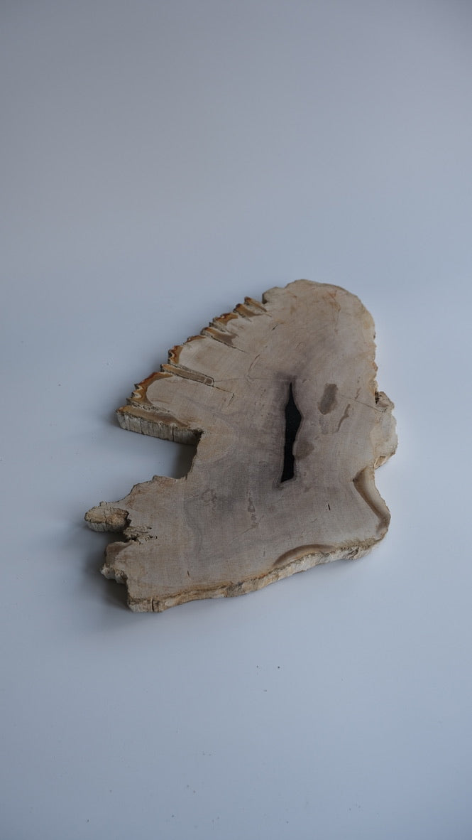 Wood Plate #001